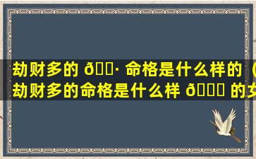 劫财多的 🌷 命格是什么样的（劫财多的命格是什么样 🐞 的女人）